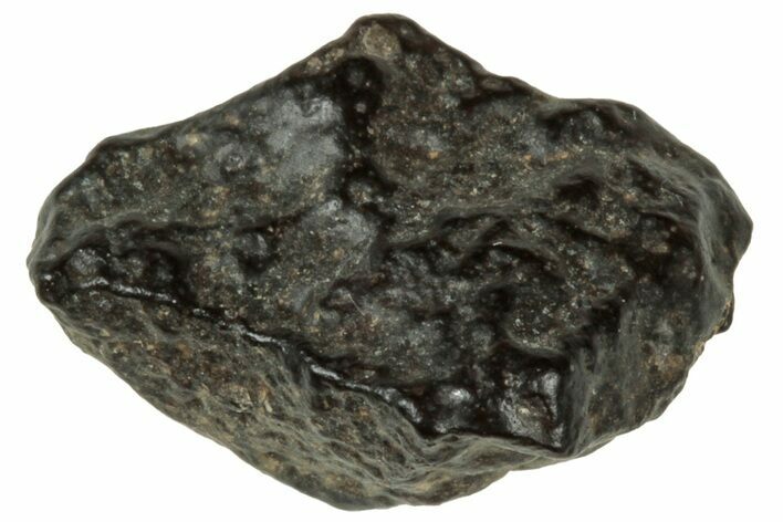 Abadla CM Chondrite Meteorite ( g) - Algeria #313047